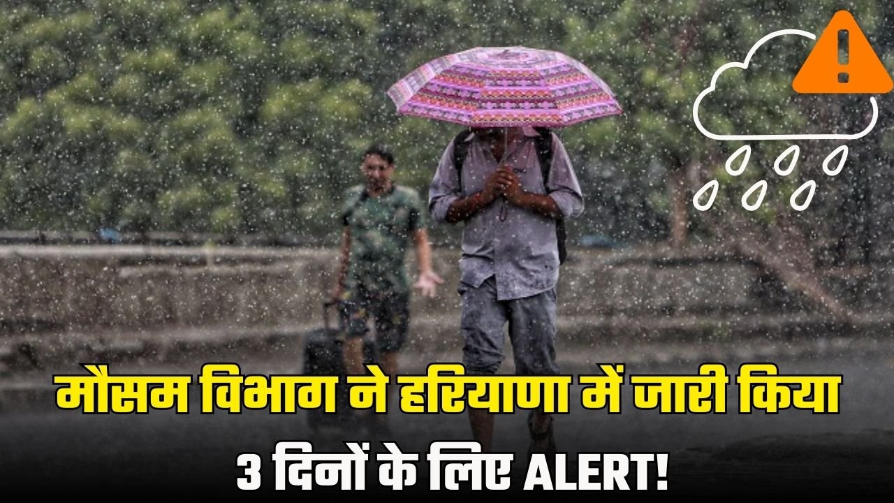 haryana weather alert